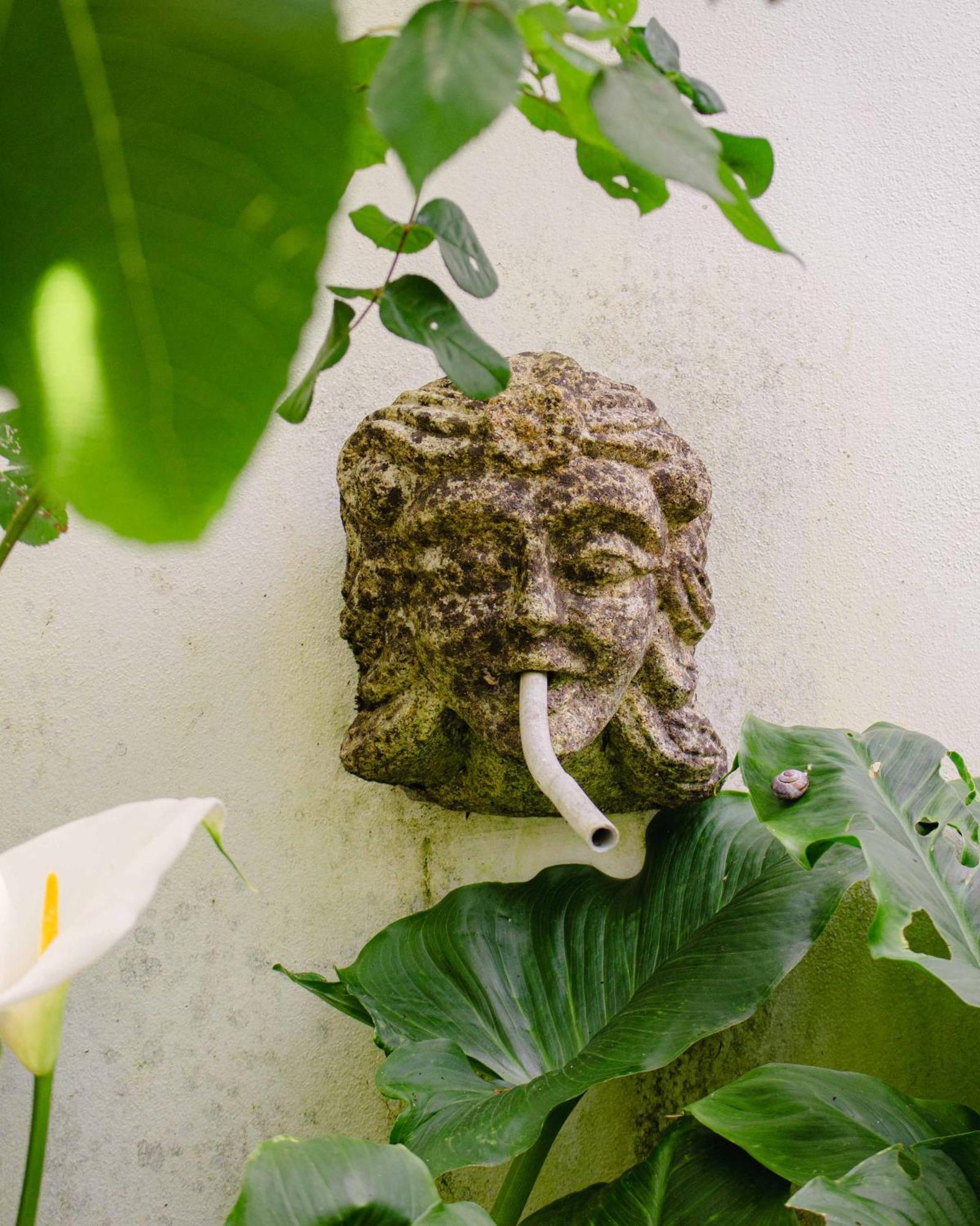 Casa Das Fontes 蓬蒂-达巴尔卡 外观 照片
